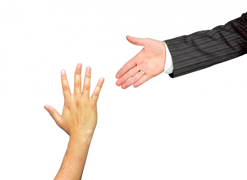 mentoring career guidance coach